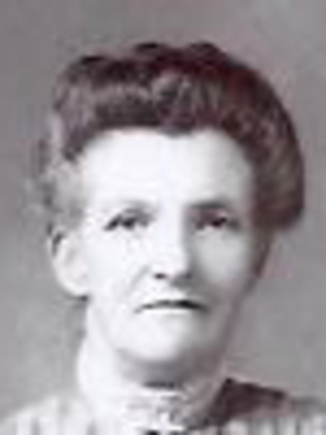 Mary Ellen Hollingdrake (1849 - 1919) Profile